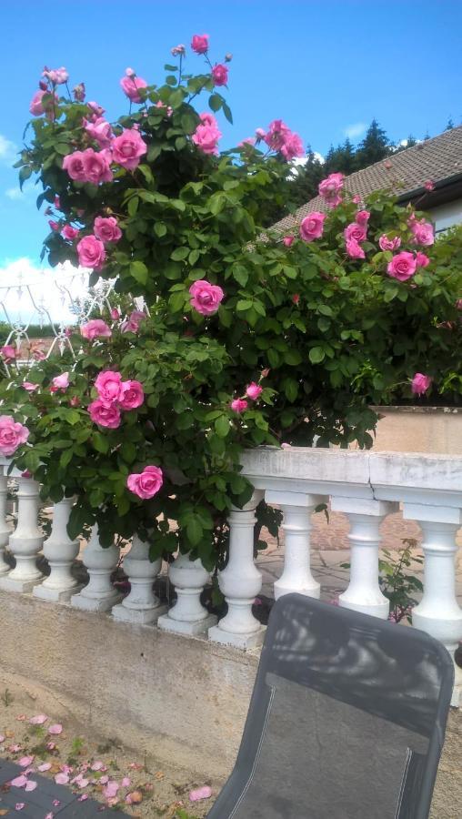 Villa Belle Vue Au Calme Gibles Zewnętrze zdjęcie